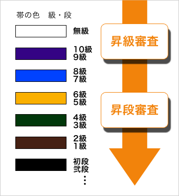 帯の種類